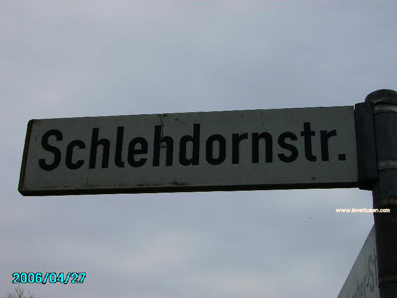 Foto der Schlehdornstr.: Straßenschild Schlehdornstr.