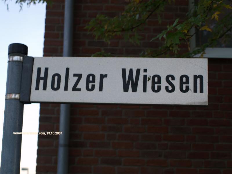 Foto der Holzer Wiesen: Straßenschild Holzer Wiesen