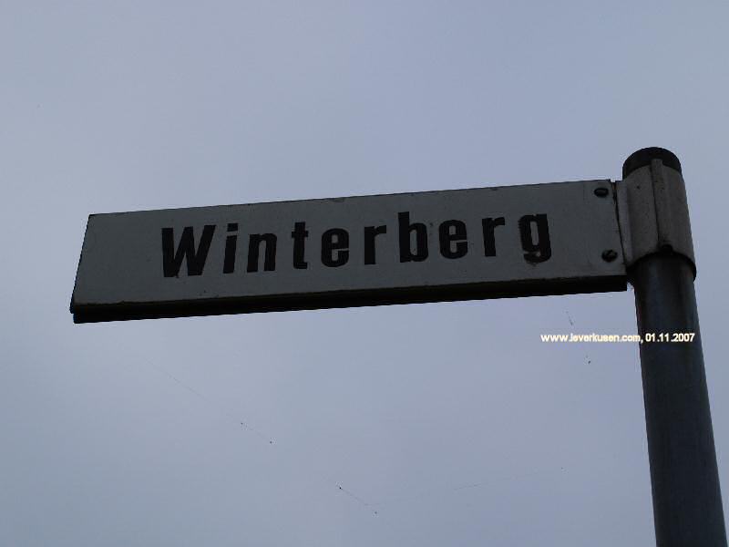 Foto der Winterberg: Straßenschild Winterberg