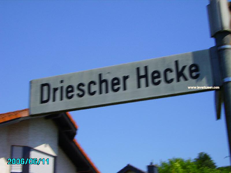 Foto der Driescher Hecke: Straßenschild Driescher Hecke