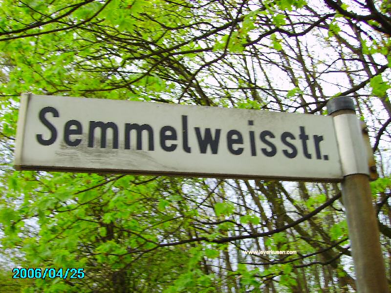 Foto der Semmelweisstr.: Straßenschild Semmelweisstraße