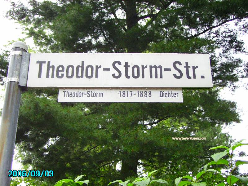 Foto der Theodor-Storm-Str.: Straßenschild Theodor-Storm-Str.