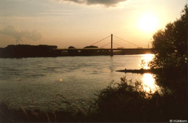 Rhein bei Sonnenuntergang (29 k)