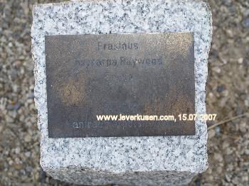 Plakette Laga-Baum Manfred Herpolsheimer