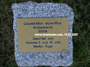 Plakette Laga-Baum Kolonievereinigungen