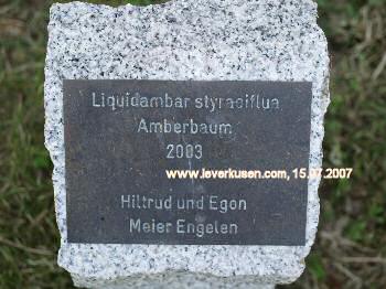 Plakette Laga-Baum Hildtrud und Egon Meier-Engelen