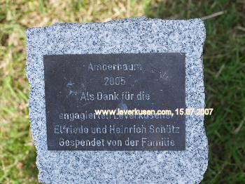 Plakette Laga-Baum Elfriede und Heinrich Sch�tz