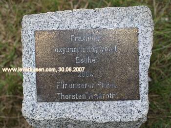 Plakette Laga-Baum Thorsten Wallroth