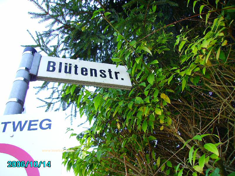 Foto der Blütenstr.: Straßenschild Blütenstraße