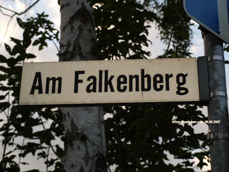 Foto der Am Falkenberg: Straßenschild Am Falkenberg