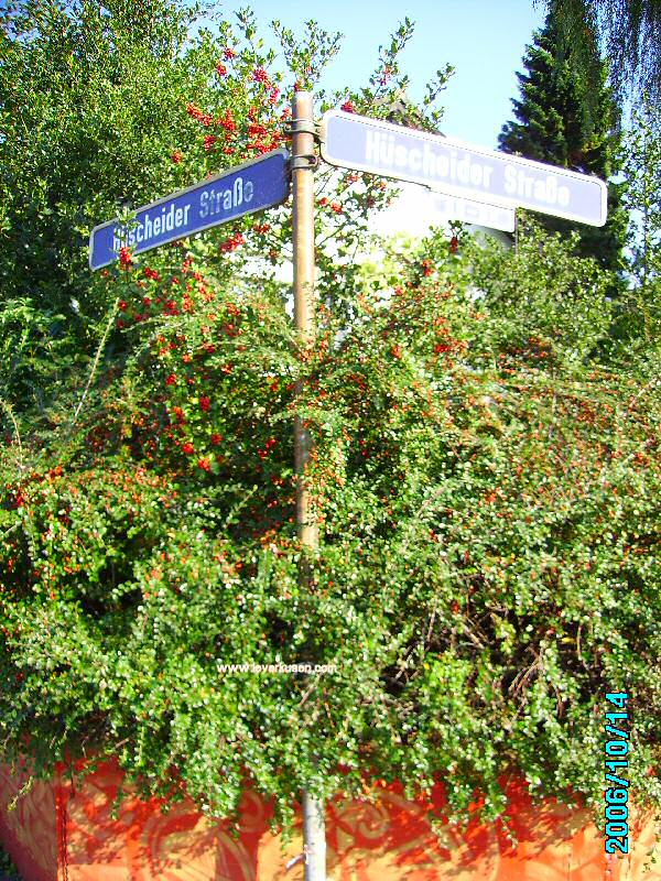 Foto der Hüscheider Straße: Straßenschild Hüscheider Straße