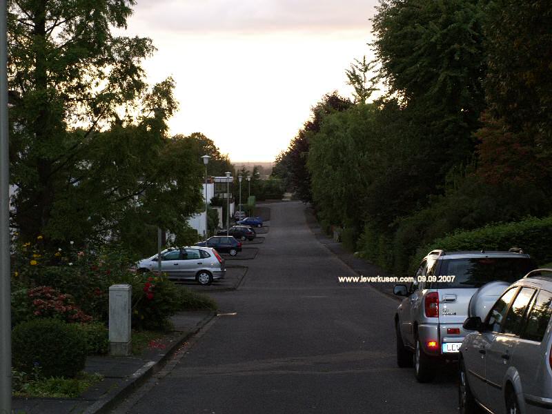 Foto der Zedernweg: Zedernweg