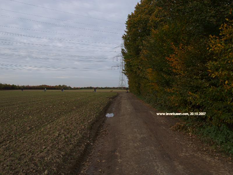 Foto der In den Belsen: In den Belsen