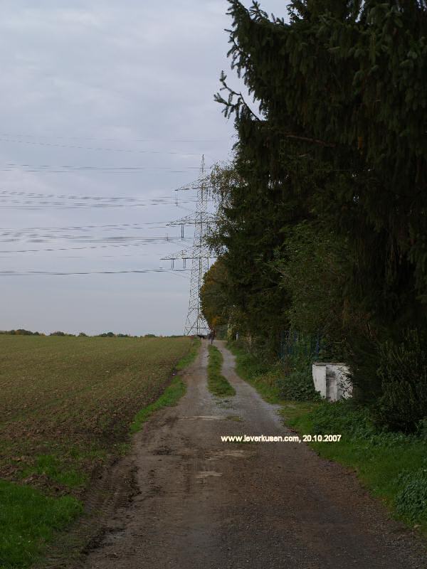 Foto der In den Belsen: In den Belsen