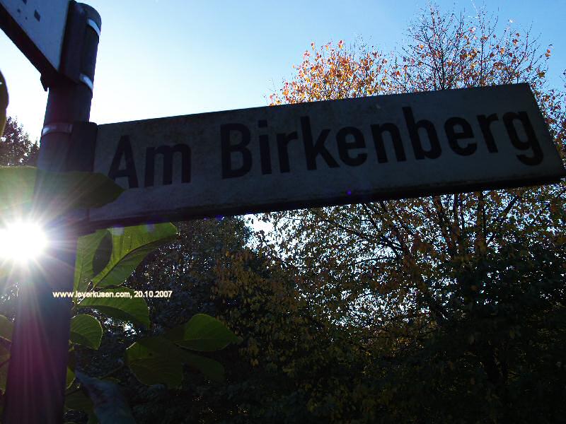 Foto der Am Birkenberg: Straßenschild Am Birkenberg