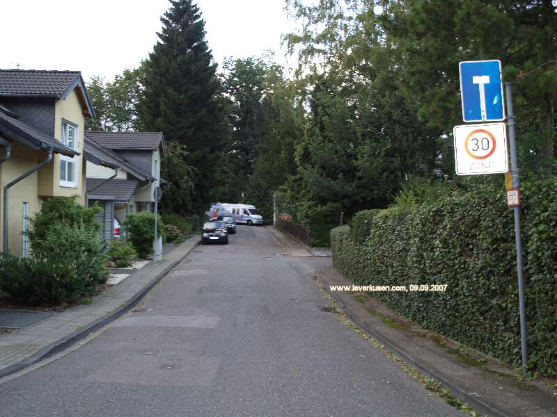 Foto der Heckenweg: Heckenweg