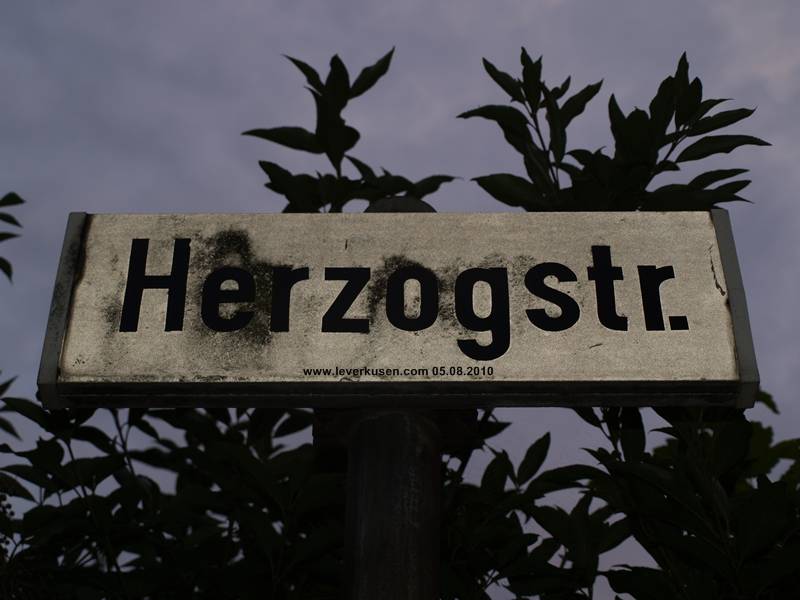 Foto der Herzogstr.: Herzogstr., Straßenschild