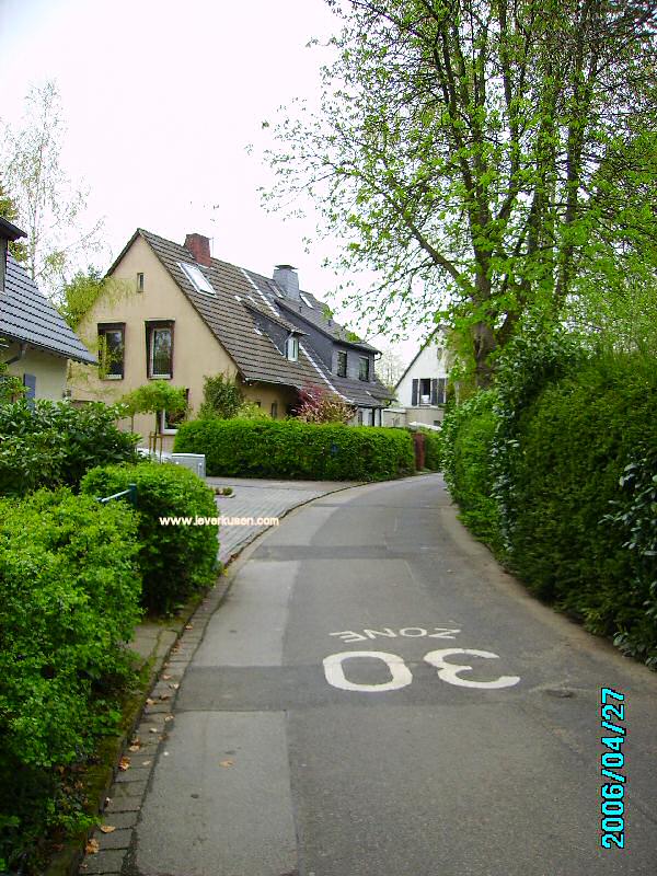 Foto der Lärchenweg: Lärchenweg