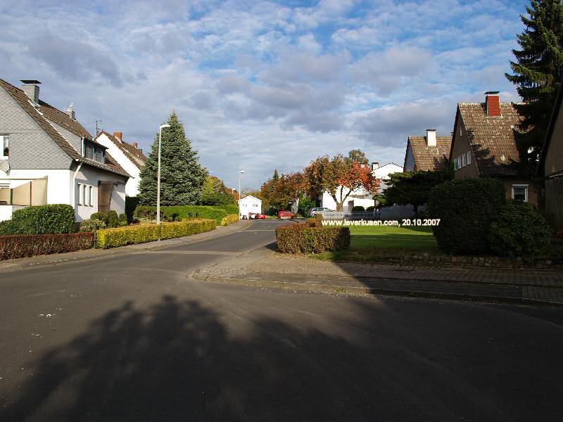 Foto der Hermann-Milde-Str.: Hermann-Milde-Str.