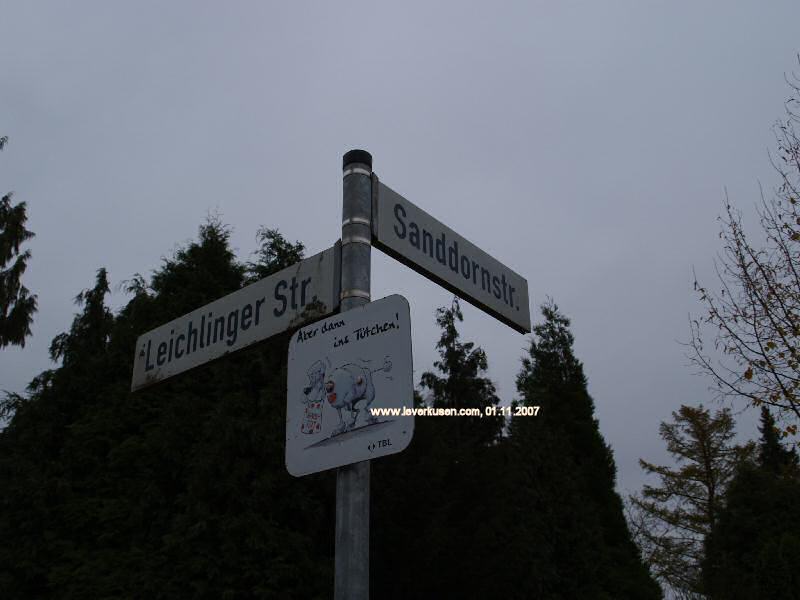 Foto der Sanddornstr.: Straßenschild Sanddornstr.