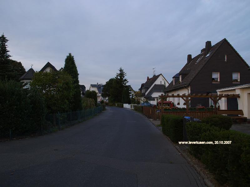 Foto der Hans-Schlehahn-Str.: Hans-Schlehahn-Str.