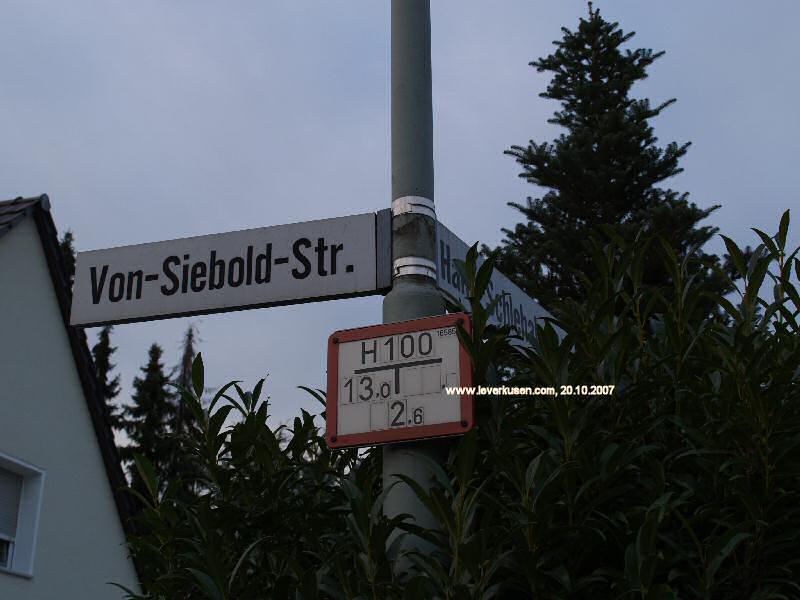 Foto der Von-Siebold-Str.: Straßenschild Von-Siebold-Str.