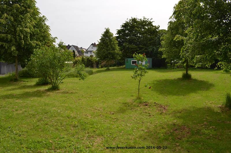 Theodor-Heuss-Realschule, Garten