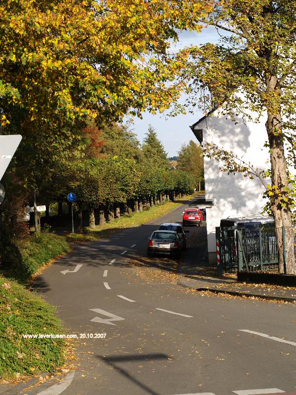 Foto der Am Weiher: Am Weiher