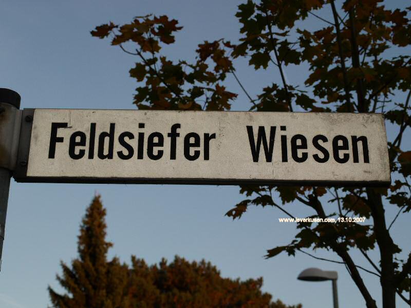 Foto der Feldsiefer Wiesen: Straßenschild Feldsiefer Wiesen