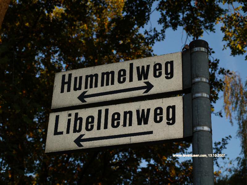 Foto der Libellenweg: Straßenschild Libellenweg