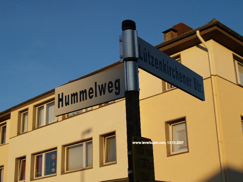 Foto der Lützenkirchener Straße: Straßenschild Lützenkirchener Str.