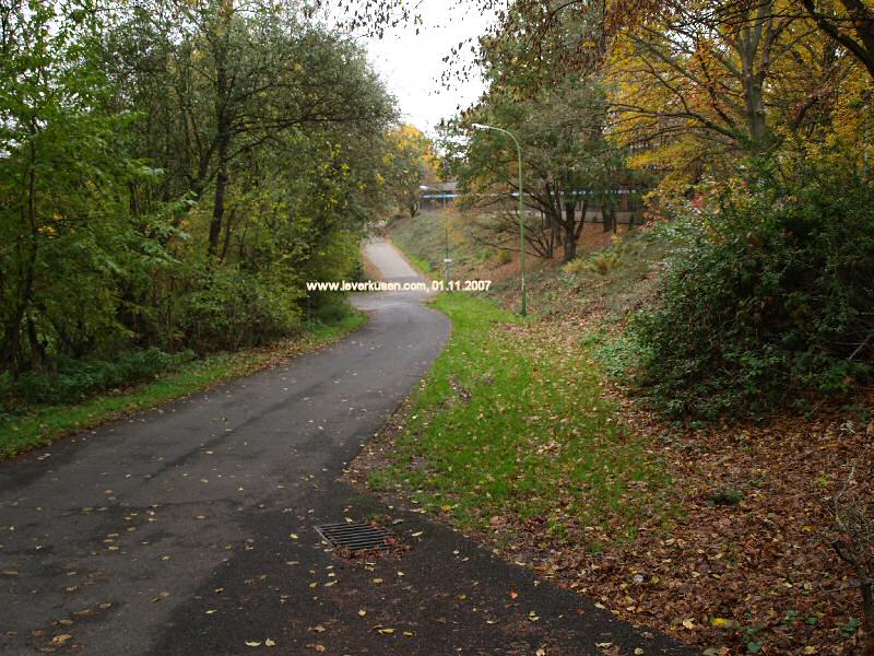 Foto der Biesenbacher Weg: Biesenbacher Weg