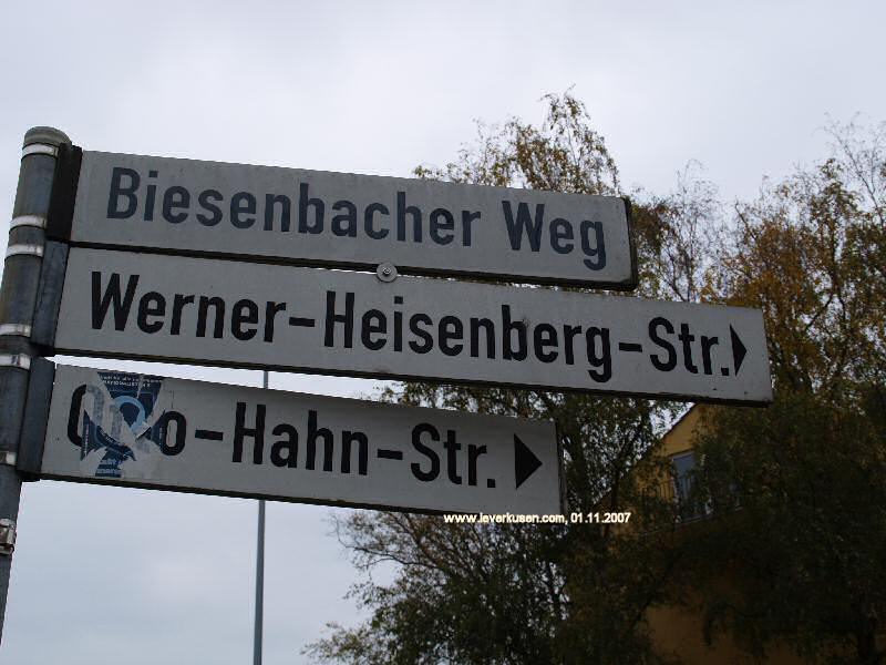 Biesenbacher Weg, Werner-Heisenberg-Str., Otto-Hahn-Str., Straßenschild