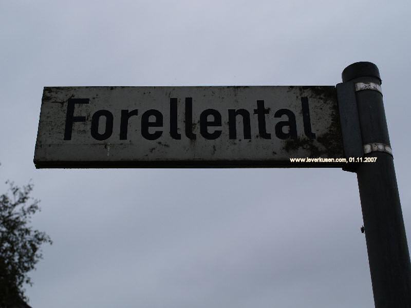 Foto der Forellental: Straßenschild Forellental