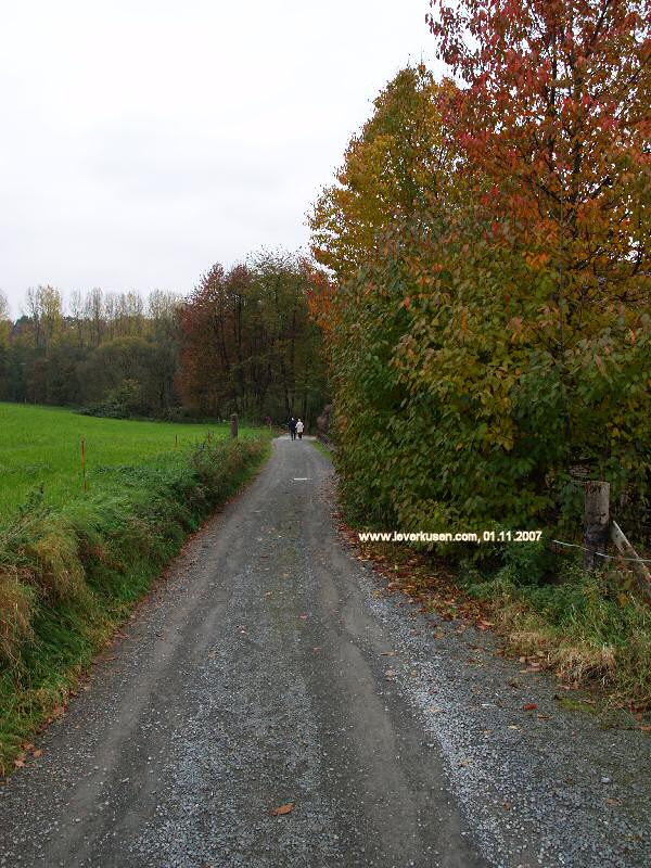 Foto der In der Wüste: In der Wüste