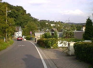 Biesenbach