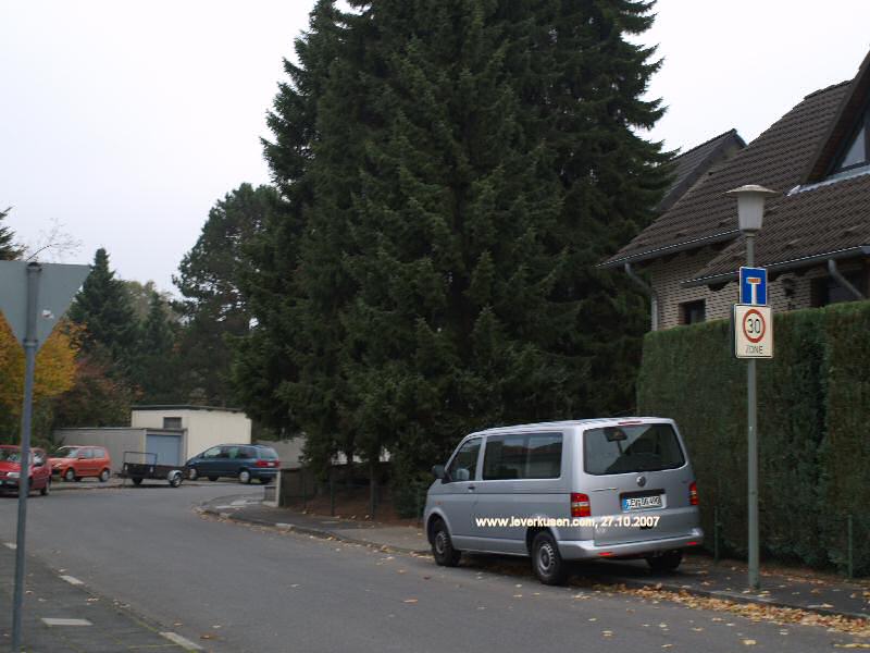 Foto der Im Jücherfeld: Im Jücherfeld