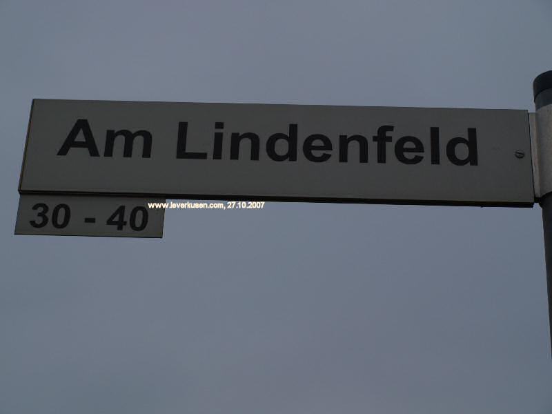 Foto der Am Lindenfeld: Straßenschild Am Lindenfeld