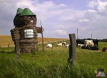 Boddenberg Boddenberg