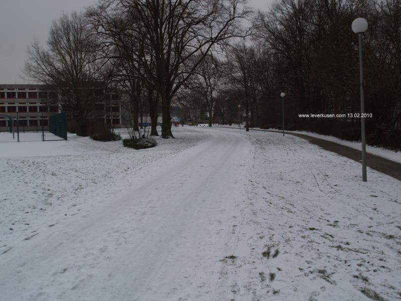 Foto der Im Bühl: Im Bühl im Schnee