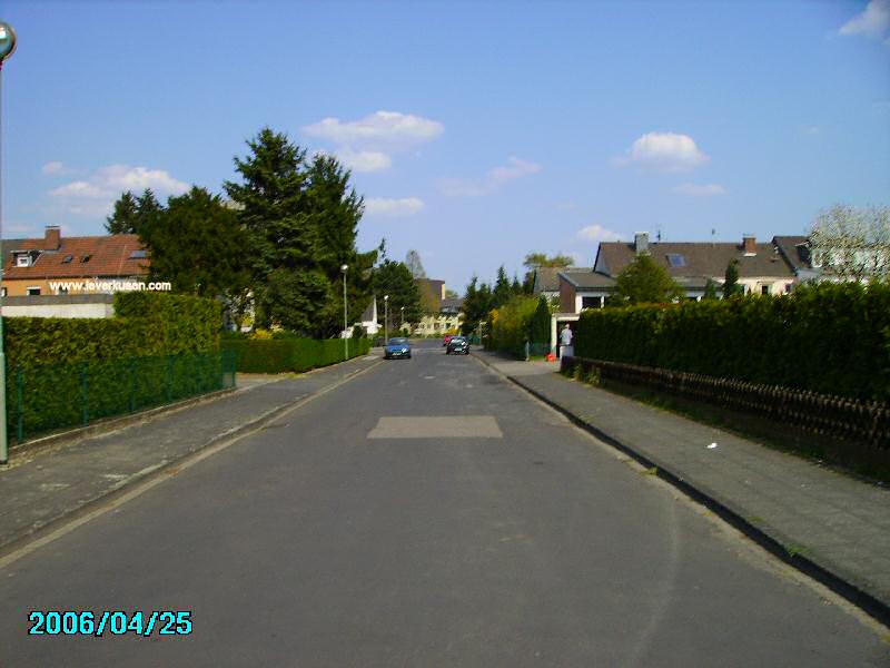 Foto der Drachenfelsstr.: Drachenfelsstraße