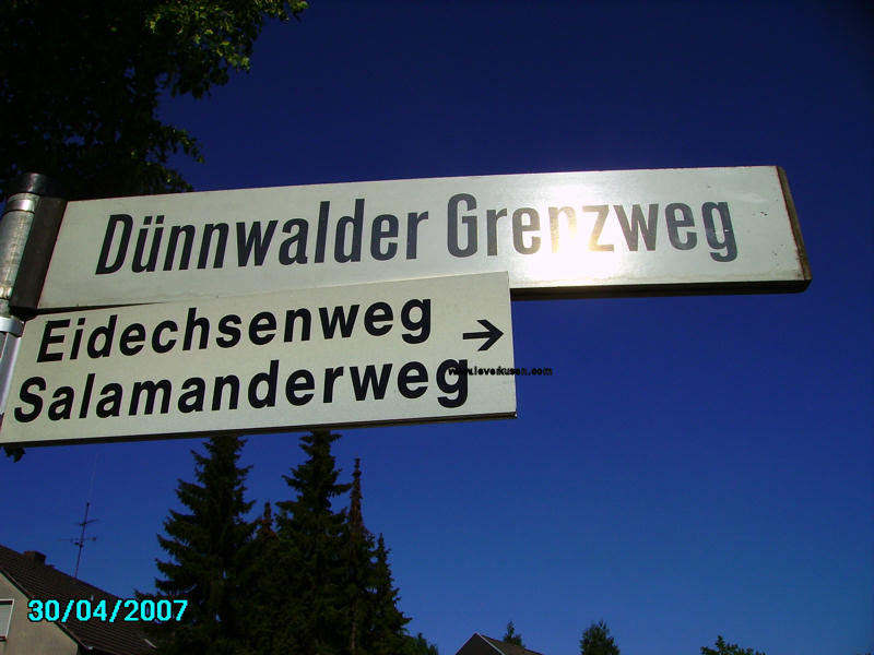 Foto der Eidechsenweg: Straßenschild Eidechsenweg