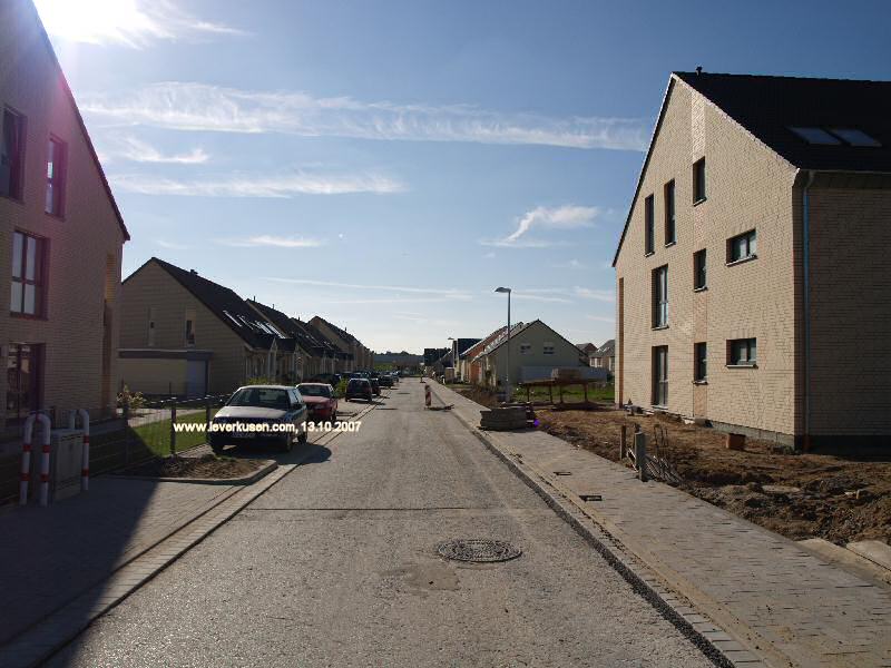 Foto der Eidechsenweg: Eidechsenweg