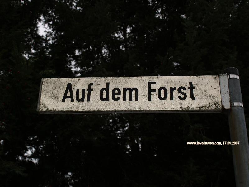 Foto der Auf dem Forst: Straßenschild Auf dem Forst
