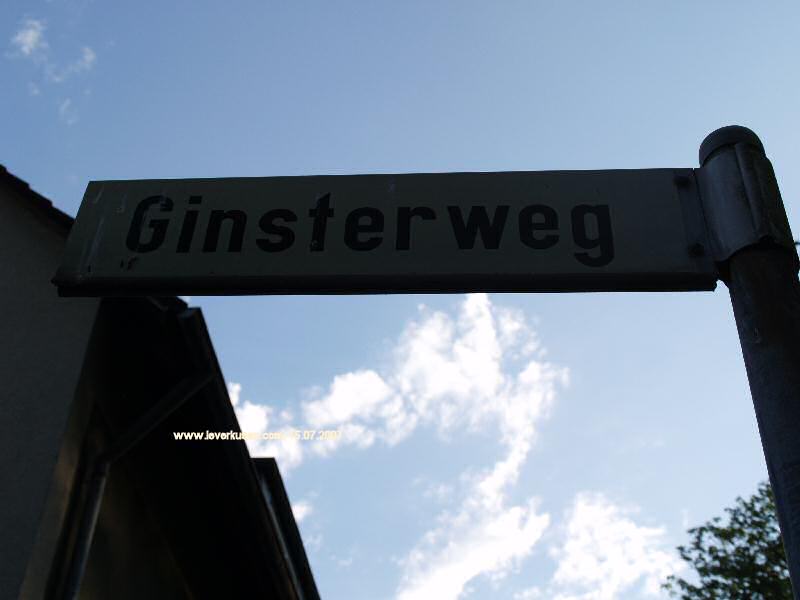 Foto der Ginsterweg: Straßenschild Ginsterweg