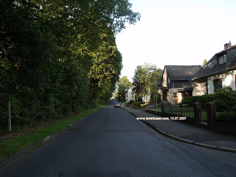 Foto der Grüner Weg: Grüner Weg