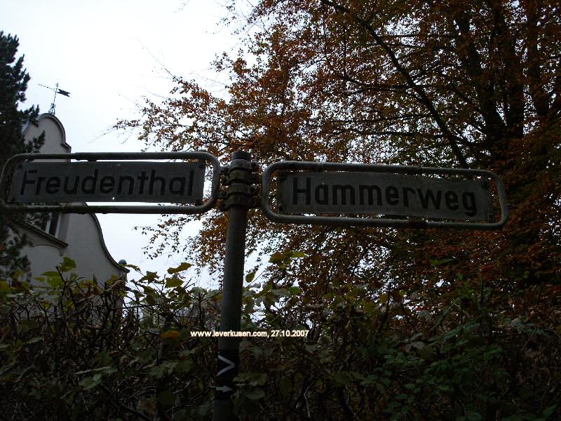 Foto der Hammerweg: Straßenschild Hammerweg