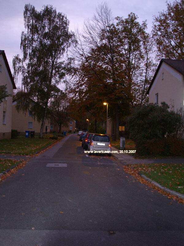 Foto der Heinrich-Hörlein-Str.: Heinrich-Hörlein-Str.