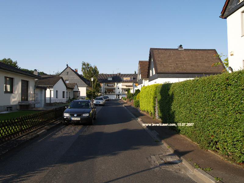 Foto der Holunderweg: Holunderweg