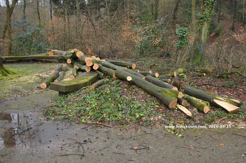 Spielplatz Leimbachtal, Sturmschaden